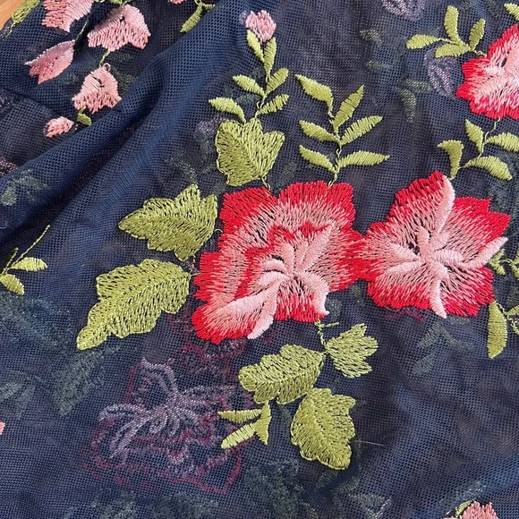 Mesh Embroidered Dress - Picture 2 of 2